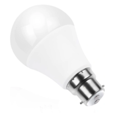 Light Bulb LED B22